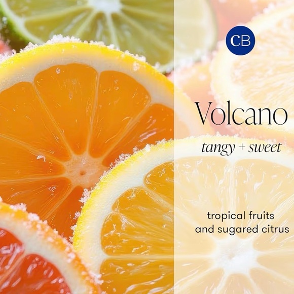 Capri Blue Volcano Reed Diffuser Set - Includes Reed Diffuser (8 fl oz) - Picture 11 of 11